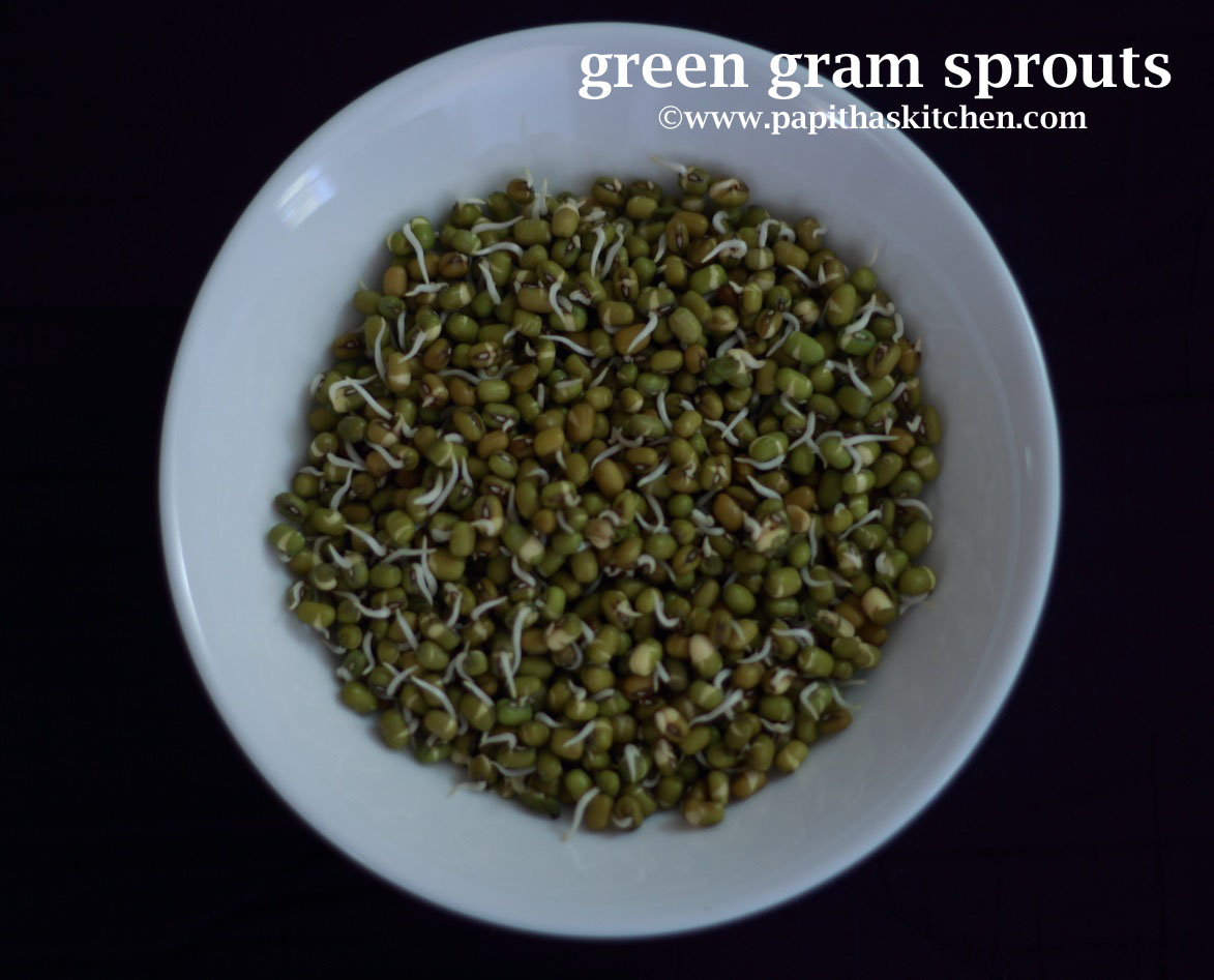 green gram sprouts 